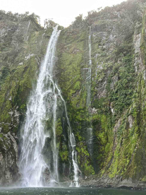 cascate di Milford Sound che si gettano nel fiordo contornate da vegetazione
